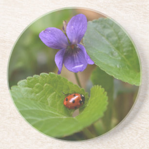 Ladybug on Sweet Violet Flowers Coaster