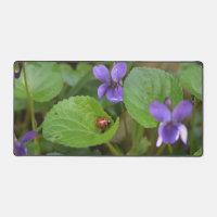 Ladybug on Sweet Violet Flowers
