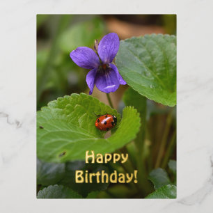 Ladybug on Sweet Violet Flowers Foil Holiday Postcard