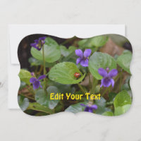 Ladybug on Sweet Violet Flowers