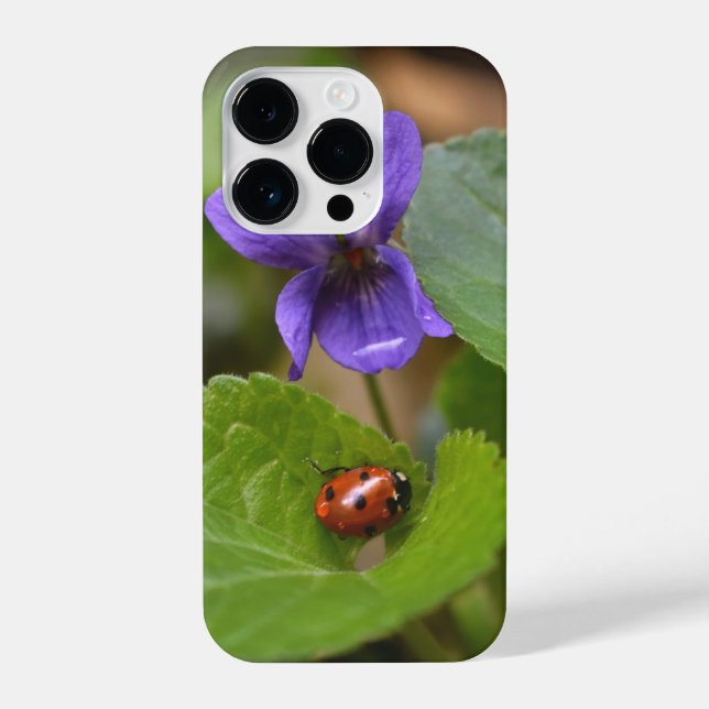 Ladybug on Sweet Violet Flowers iPhone Case (Back)