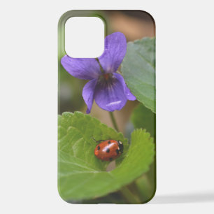 Ladybug on Sweet Violet Flowers iPhone 12 Case