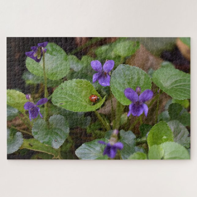 Ladybug on Sweet Violet Flowers Jigsaw Puzzle (Horizontal)