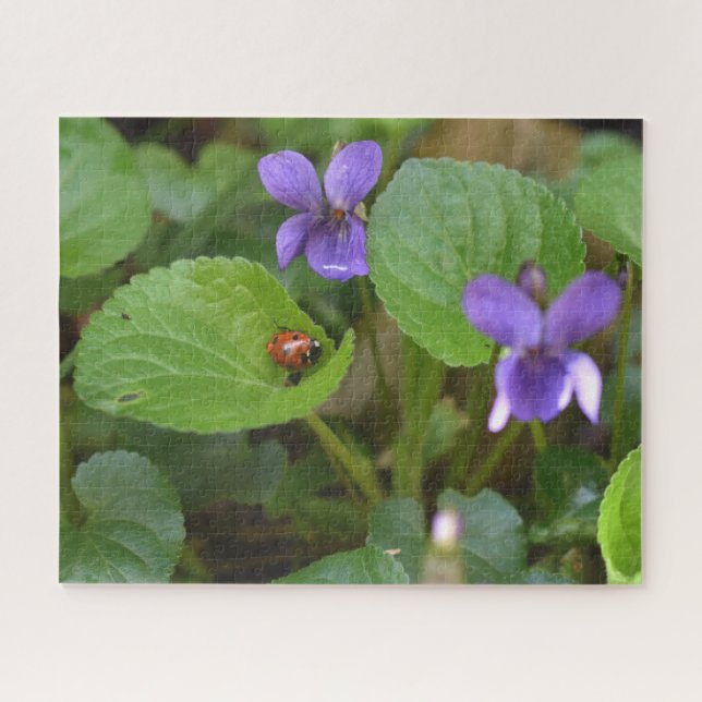 Ladybug on Sweet Violet Flowers Jigsaw Puzzle (Horizontal)