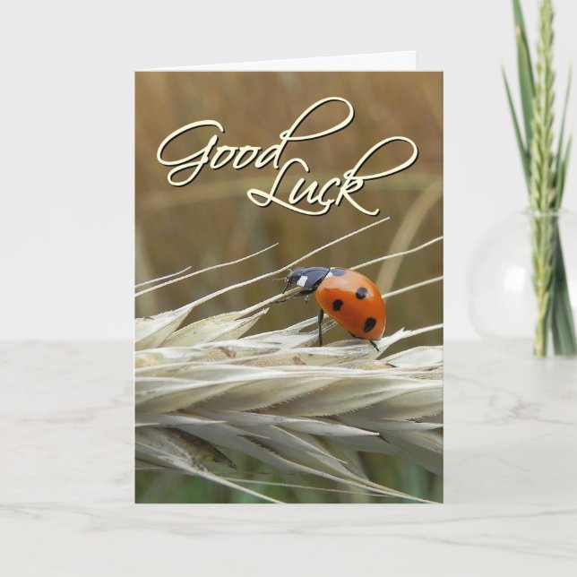 Ladybug on wheat - Good luck Card (Front)