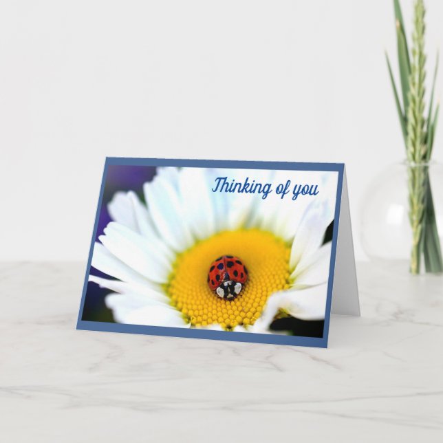 Ladybug on White Daisy Card (Front)