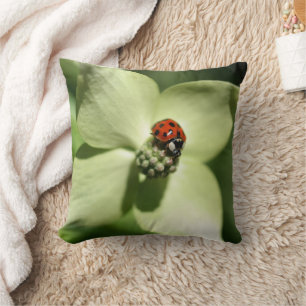 Ladybug On White Dogwood Flower Cushion