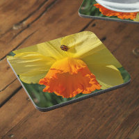 Ladybug on Yellow Daffodil Floral