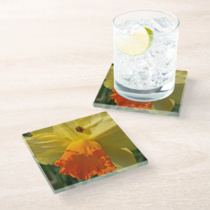 Ladybug on Yellow Daffodil Floral Glass Coaster