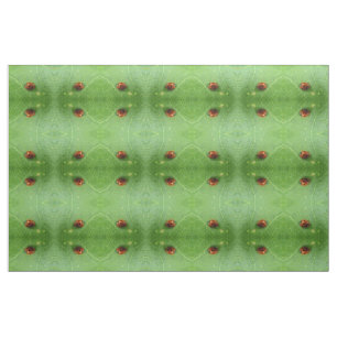 Ladybug Patterned Animal Craft Fabric