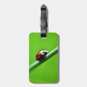 Ladybug photo luggage tag