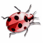 Ladybug Photo Sculpture Key Ring<br><div class="desc">Ladybug is a Pop Art design</div>