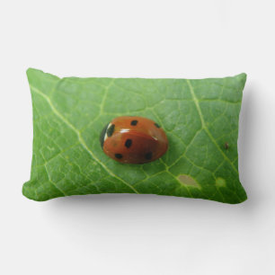 Ladybug Pillow
