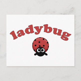 Ladybug Postcard