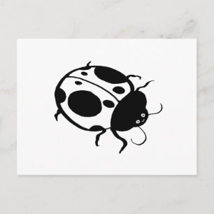 Ladybug  - postcard