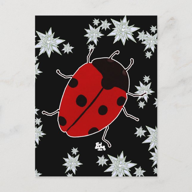 LADYBUG POSTCARD (Front)