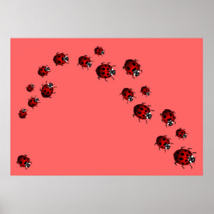 Ladybug Print Ladybird Art Large Small Poster