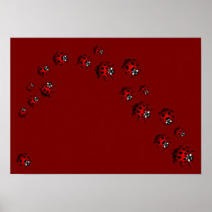 Ladybug Print Ladybird Art Large Small Poster