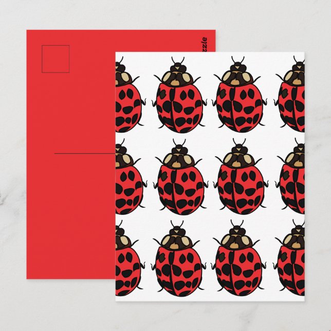Ladybug Red Black Insect Ladybug Postcard (Front/Back)