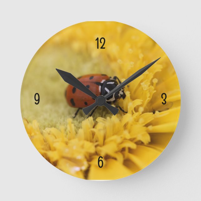 Ladybug Round Clock (Front)