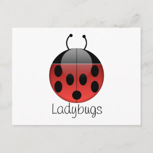 Ladybug Series 2 Postcard