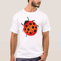 Ladybug