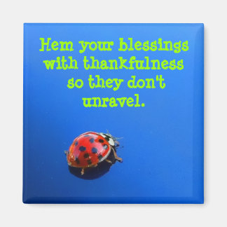 Ladybug Thank You Magnet