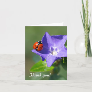 Ladybug Thank you Note Card