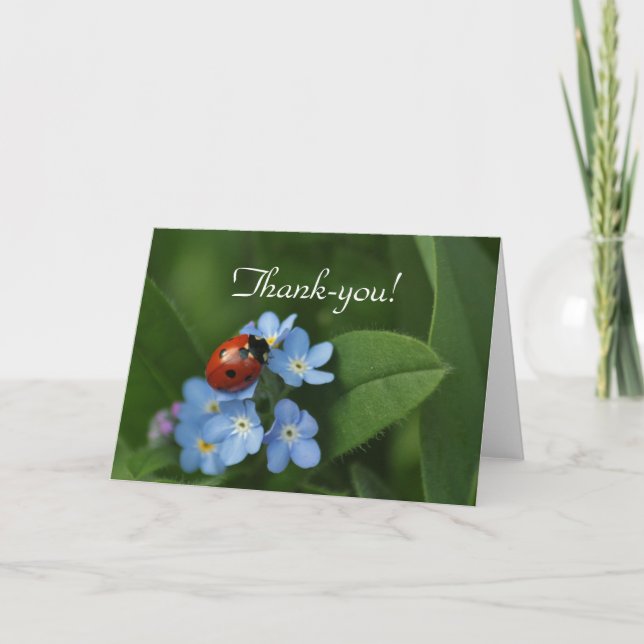 Ladybug Thank-You Thank You Card (Front)