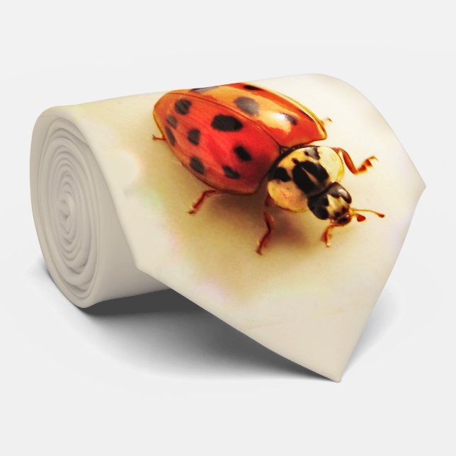 Ladybug Tie (Rolled)