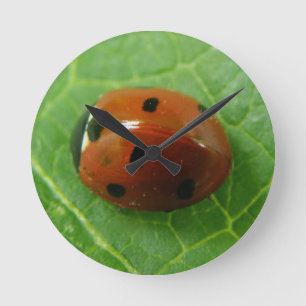 Ladybug Wall Clock