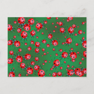 Ladybug Wallpaper Postcard