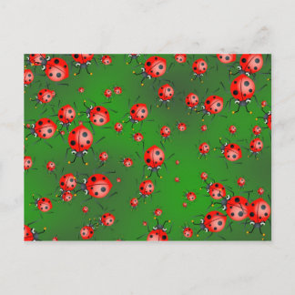 Ladybug Wallpaper Postcard
