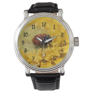 Ladybug Watch