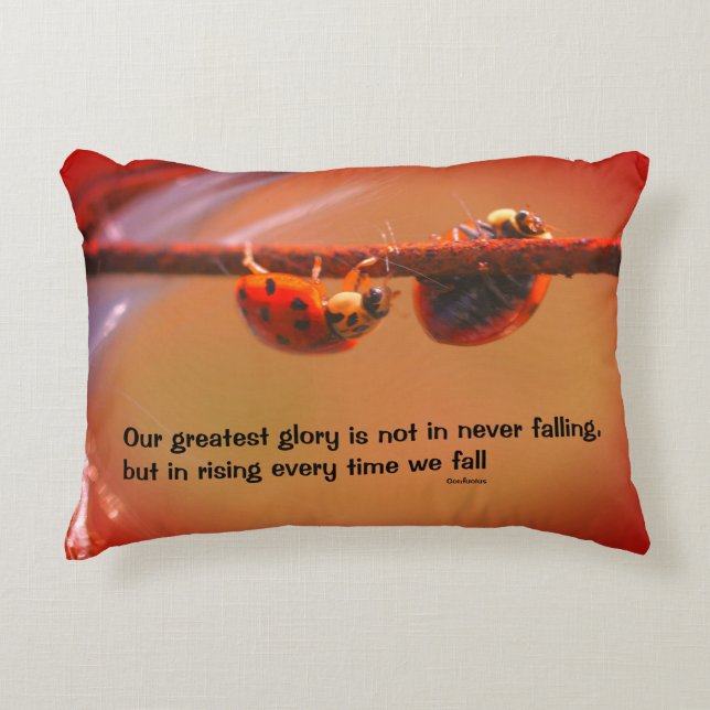 Ladybugs Attitude Inspirational Confucius Quote  Decorative Cushion (Front)