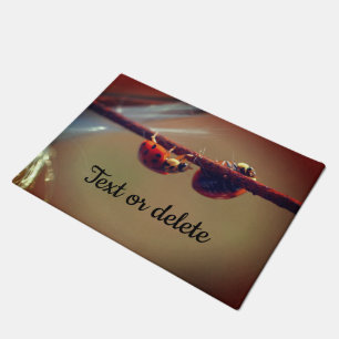Ladybugs Balancing Close Up Personalised  Doormat