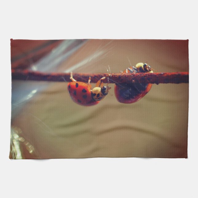 Ladybugs Balancing Close Up  Tea Towel (Horizontal)
