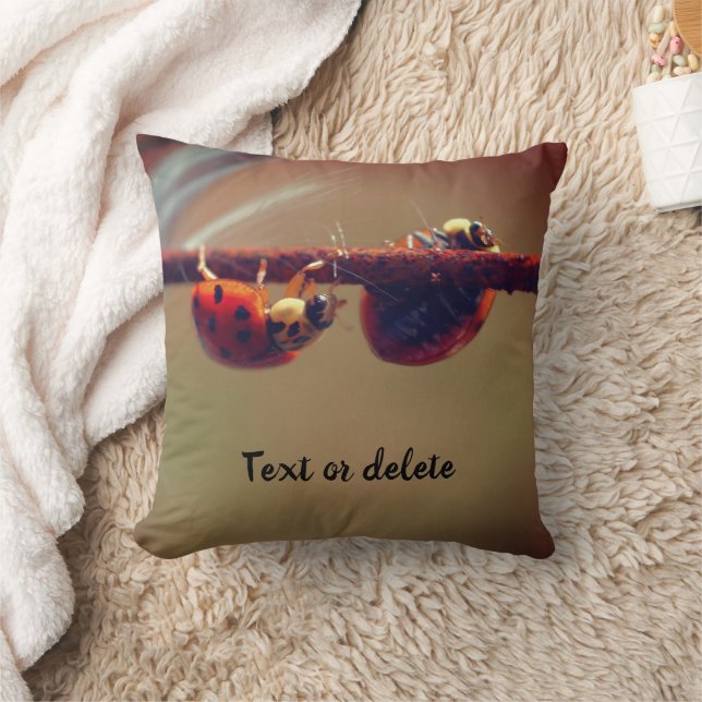 Ladybugs Balancing Personalised Cushion (Blanket)