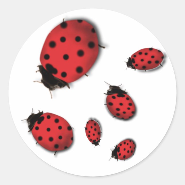 Ladybugs Classic Round Sticker (Front)