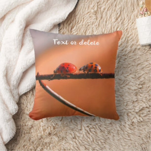 Ladybugs Follow The Leader Personalised Cushion