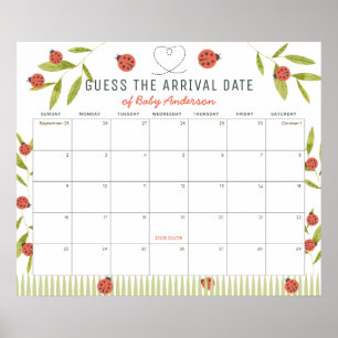 Ladybugs Green Guess The Due Date Calendar Poster