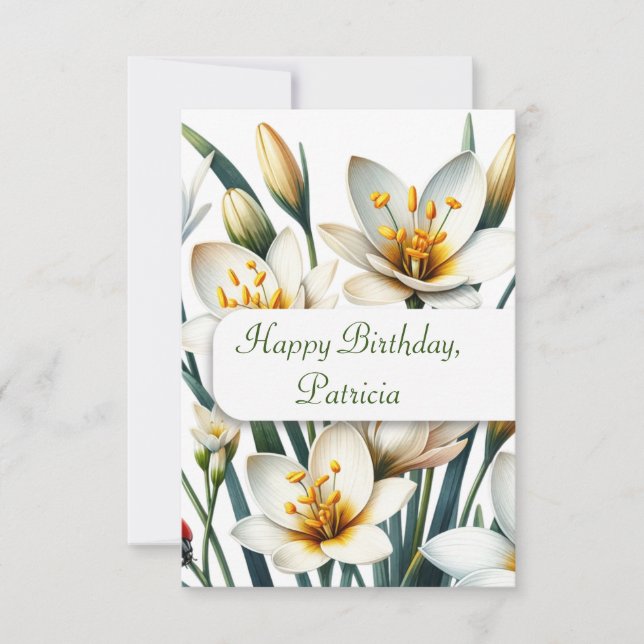 Ladybug's Lily Haven (Front)