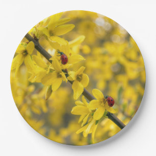 Ladybugs on Yellow Forsythia Branch Paper Plate