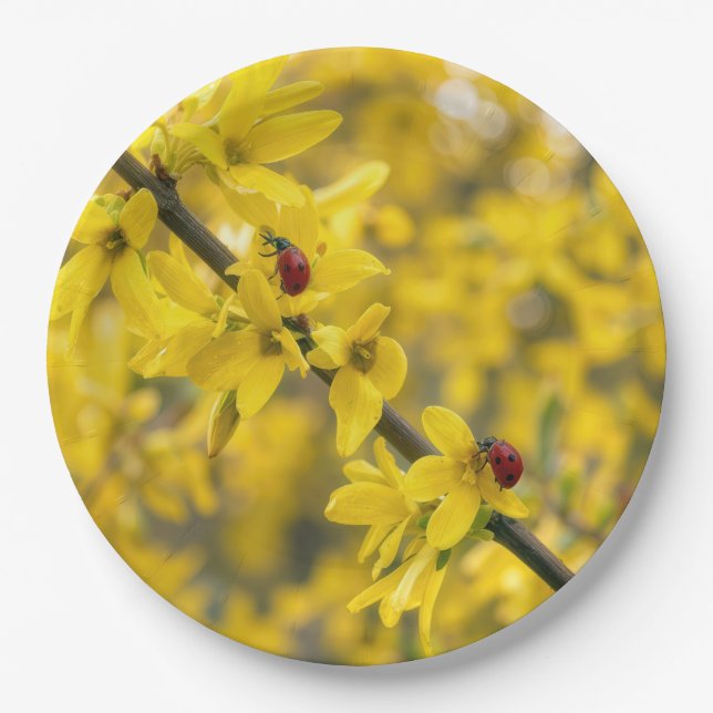 Ladybugs on Yellow Forsythia Branch Paper Plate (Front)