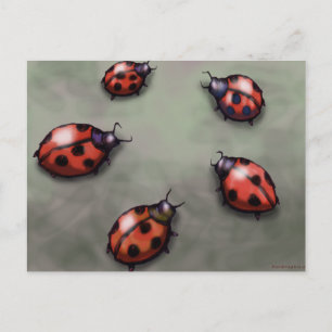 Ladybugs Postcard