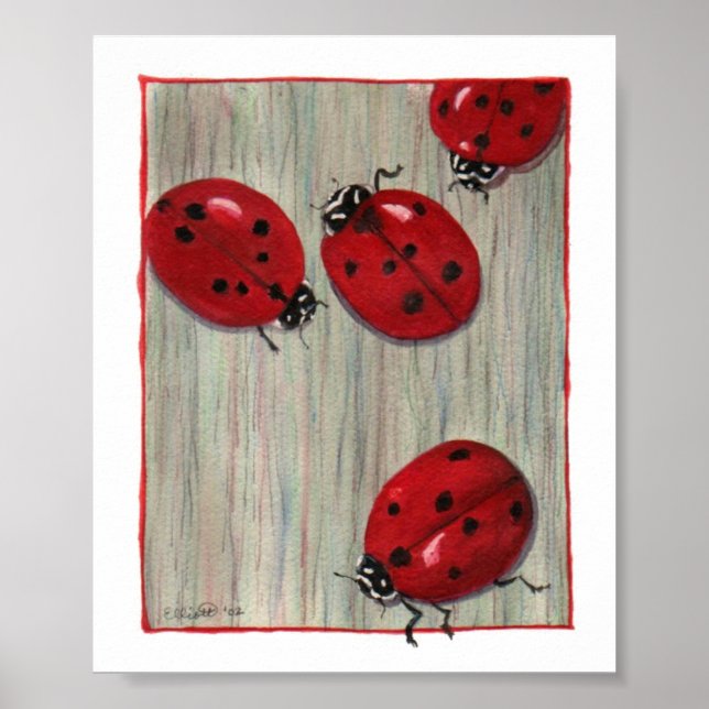 Ladybugs! Poster (Front)