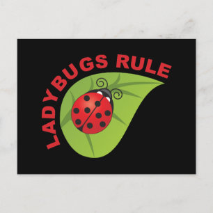 Ladybugs Rule Postcard