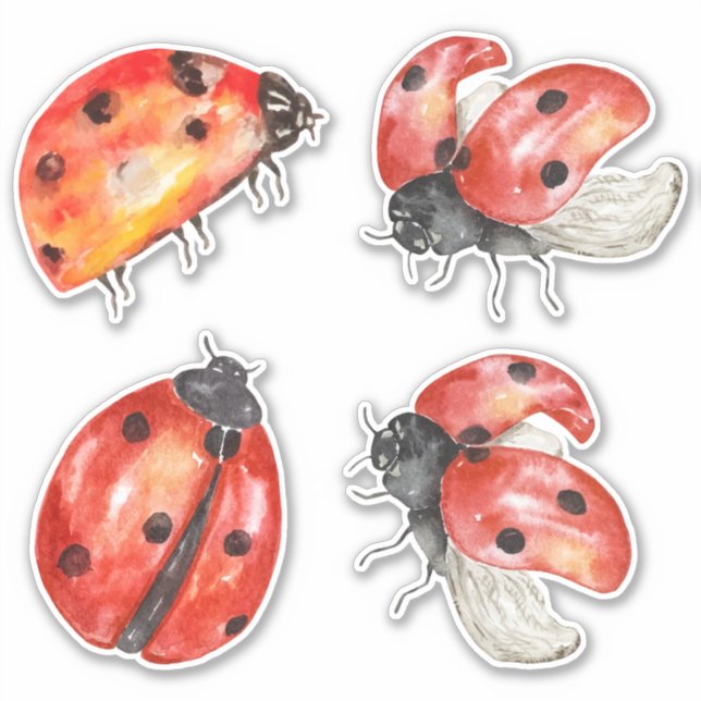 ladybugs set sticker (Front)
