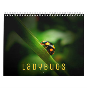 Ladybugs Wall Calendar