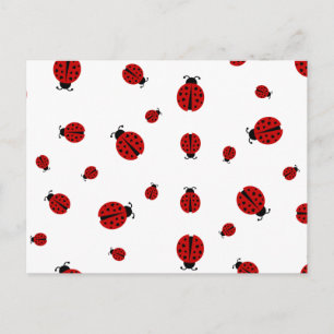 ladybugz. postcard